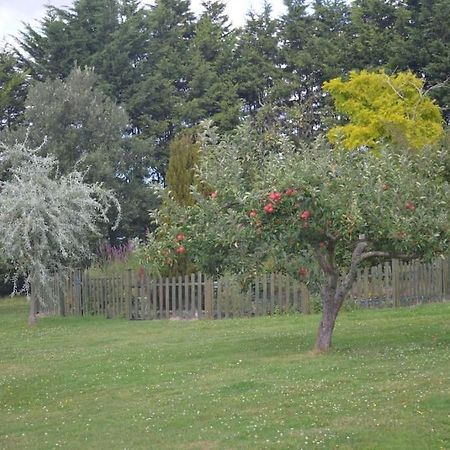 The Willow Studio - Peaceful Retreat Near Whitstable Seaside Faversham Buitenkant foto