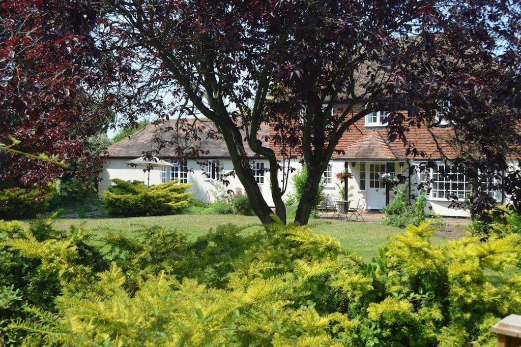 The Willow Studio - Peaceful Retreat Near Whitstable Seaside Faversham Buitenkant foto